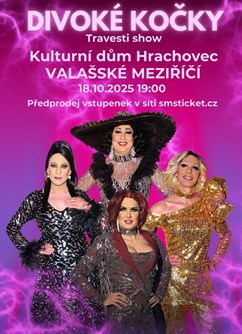 Travesti show Divoké kočky ve Valašském Meziřičí
