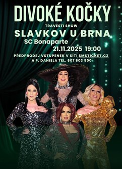 Travesti Divoké kočky Slavkov u Brna