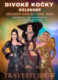 Travesti show Divoké kočky v Oslavanech
