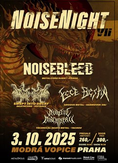 Noisenight VII