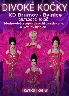 Travesti show Divoké kočky v Brumově – Bylnici